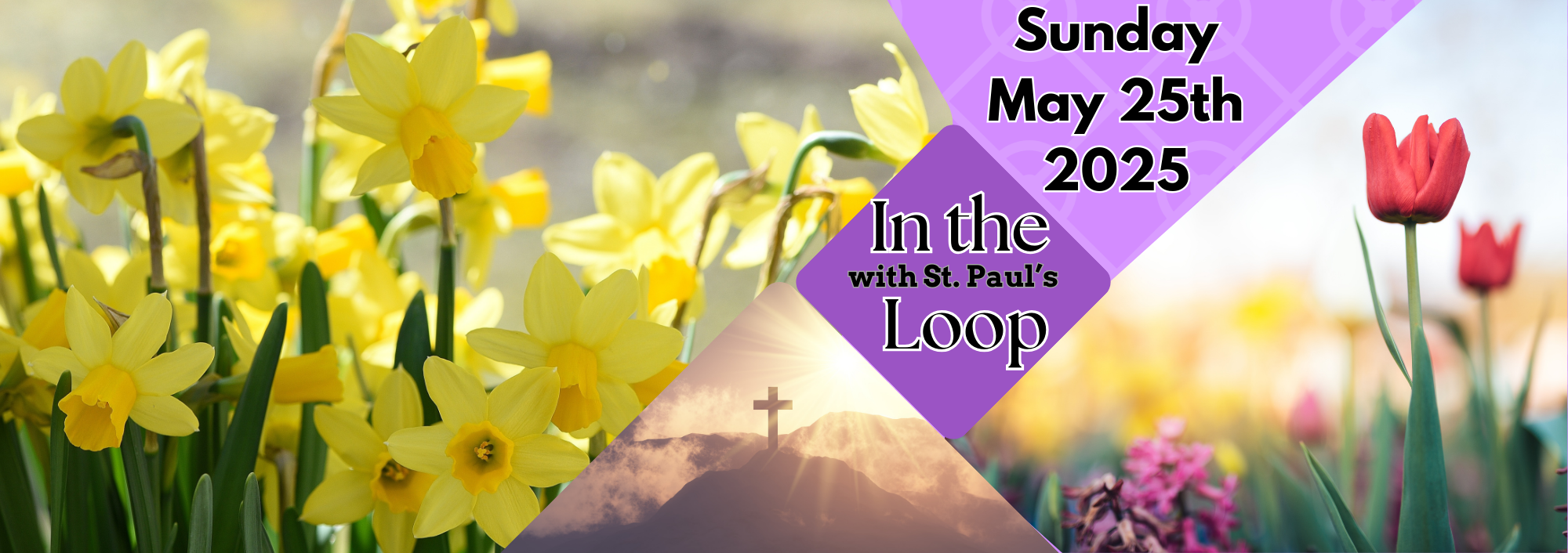 In The Loop!
